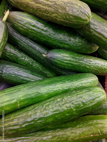lot of cucumber in the market closeup photo