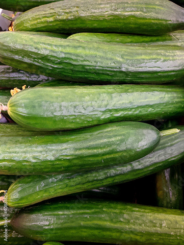 lot of cucumber in the market closeup photo