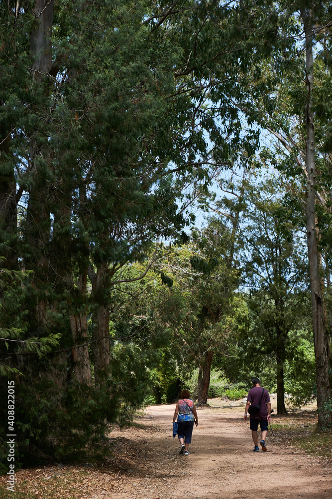 mom and dad walking between the trees