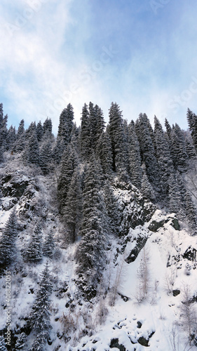 The mountain forest is completely covered with snow. The branches of trees and tall firs are all covered in snow. The steep slopes of the mountains, white snow. You can see path where people walked. photo