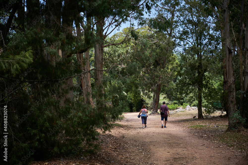 mom and dad walking between the trees