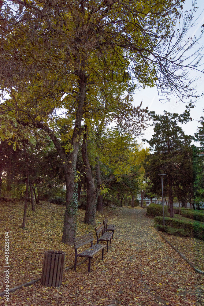 bench in autumn park bench in autumn park