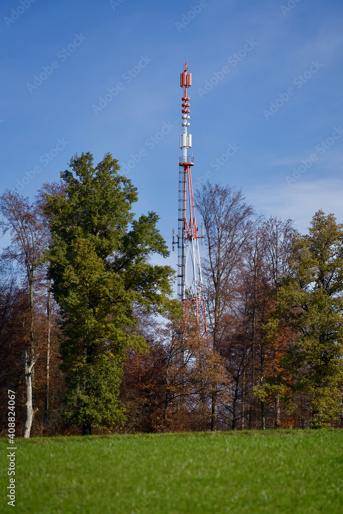 Obraz premium Tv and communications tower in the forest.