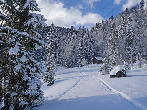 Ski track in a snowy winter landscape