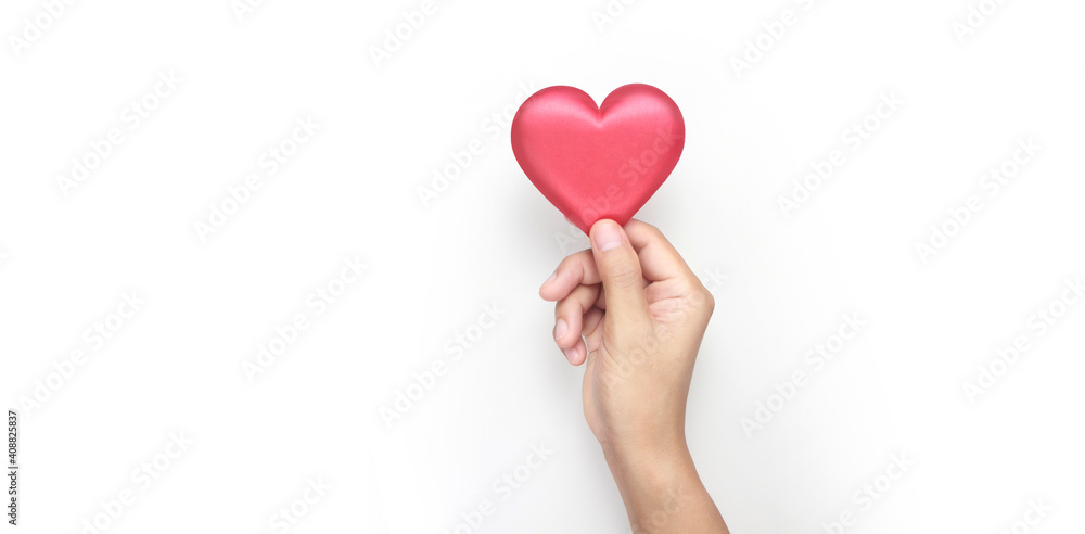 Hands holding red heart. heart health donation concepts Hands holding red heart. heart health donation concepts