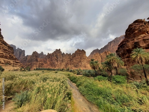 A very scenic Oasis 