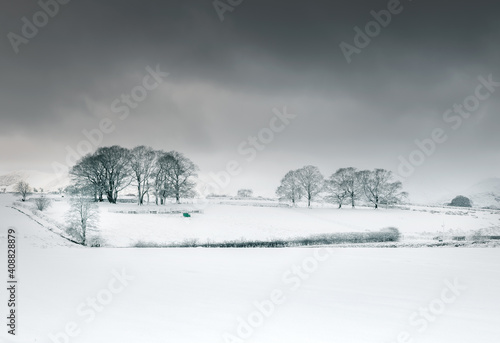 landscape with snow covered trees © photoseller92