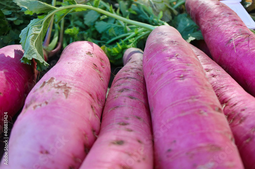 close up of radish vegetables