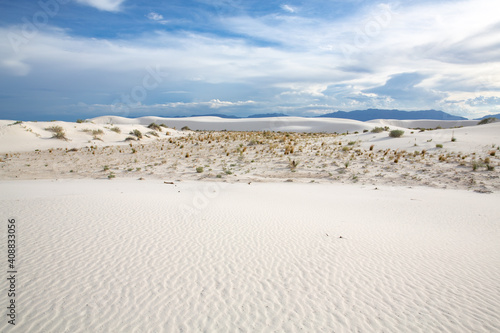 White Sands National Monument in New Mexico  USA