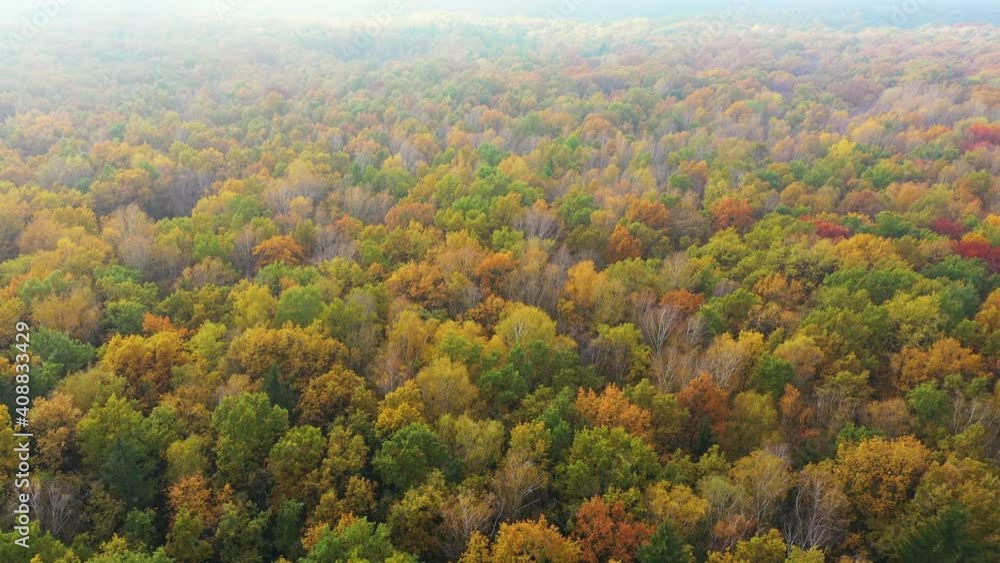 Aerial top down view of autumn forest with green and yellow trees. Mixed deciduous and coniferous forest. Beautiful fall scenery Aerial top down view of autumn forest with green and yellow trees. Mixed deciduous and coniferous forest. Beautiful fall scenery