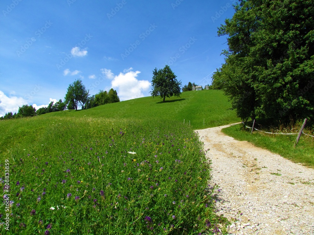 Naklejka premium Grass covered slopes bellow Osolnik hill in Gorenjska, Slovenia