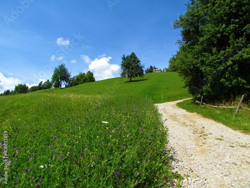 Fototapeta Naklejka Na Ścianę i Meble -  Grass covered slopes bellow Osolnik hill in Gorenjska, Slovenia