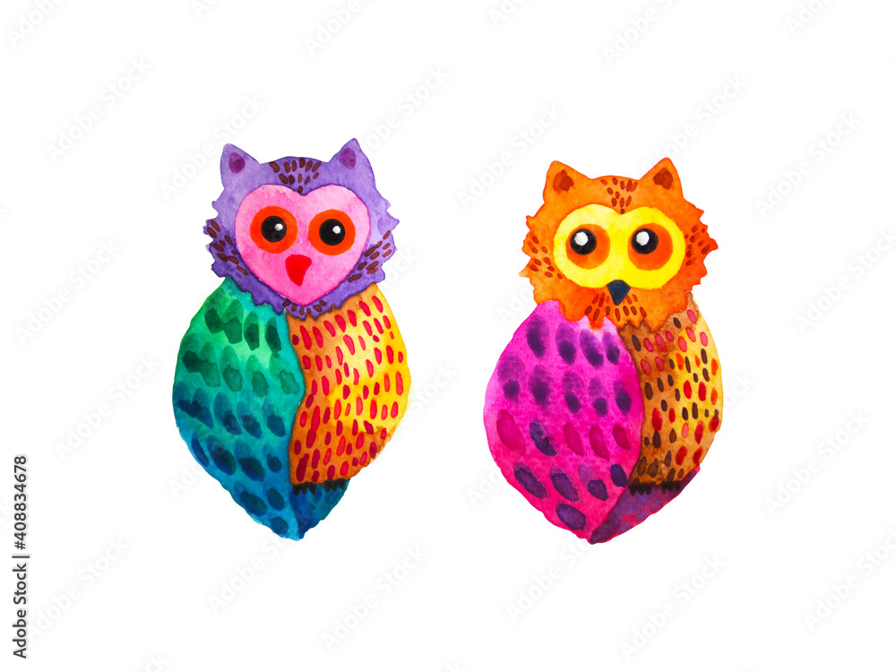 Obraz premium owl bird animal nature art watercolor painting color illustration design drawing cute wildlife pattern decoration white isolated background