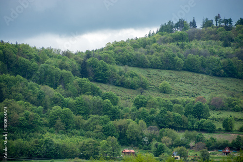 Fototapeta Naklejka Na Ścianę i Meble -  Domki u podnóża góry porośniętej lasem. Granatowe niebo.