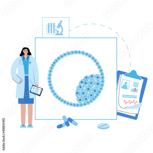 Embryo cell anatomy
