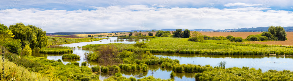 Summer panorama with river on the plain, fields and forest in the distance in sunny weather