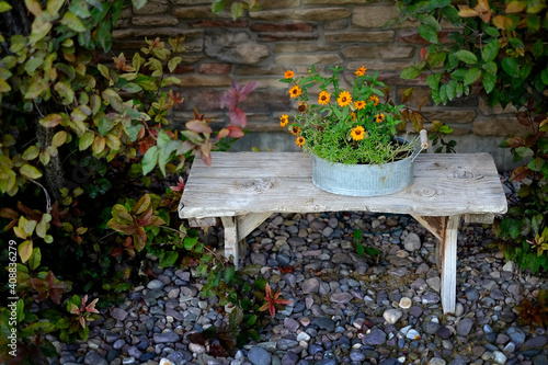 Wooden Bench with Flower Arrangement Garden