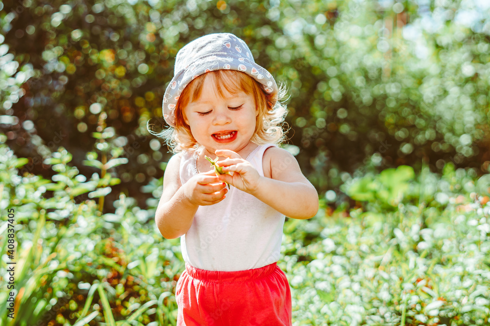 child in the garden with berries child in the garden with berries