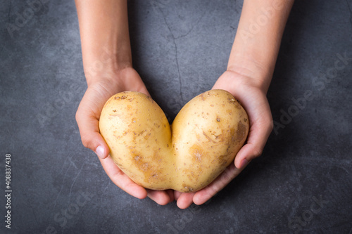 Trendy ugly vegetable, heart shaped potato in hands photo