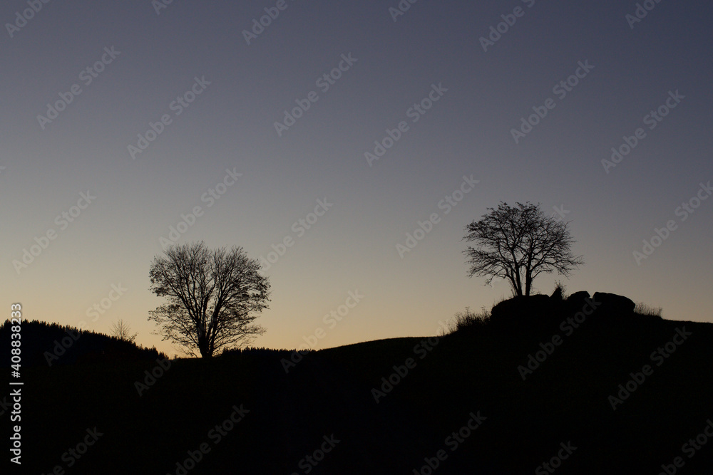 silhouette of tree at sunset silhouette of tree at sunset