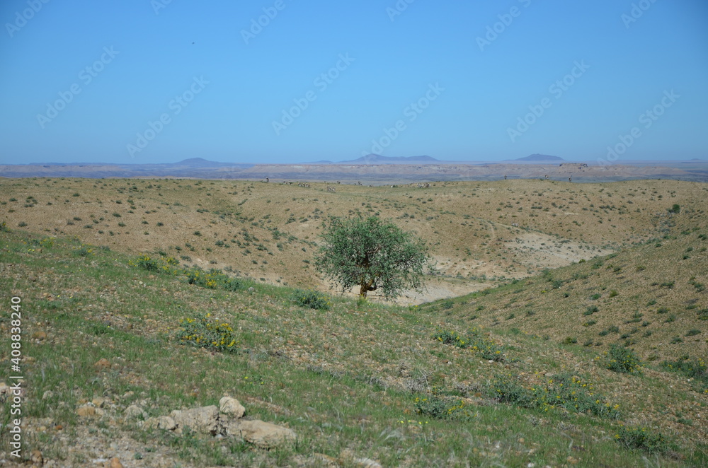 Fototapeta premium Kuiseb Canyon, Namibia