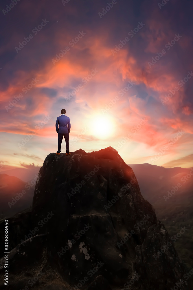 Business man on top of the hill looking at the beautiful landscape, 3D illustration