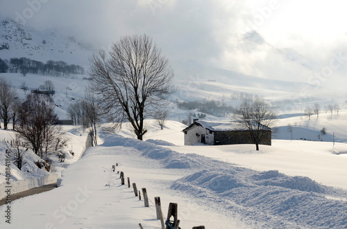 Snow covers the meadows and...