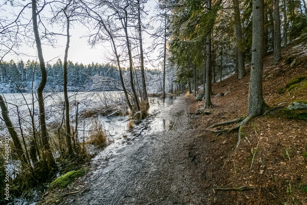 Hiking trail along the lake shore in winter Hiking trail along the lake shore in winter