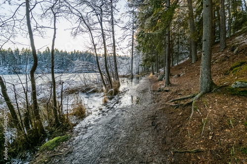 Hiking trail along the lake shore in winter