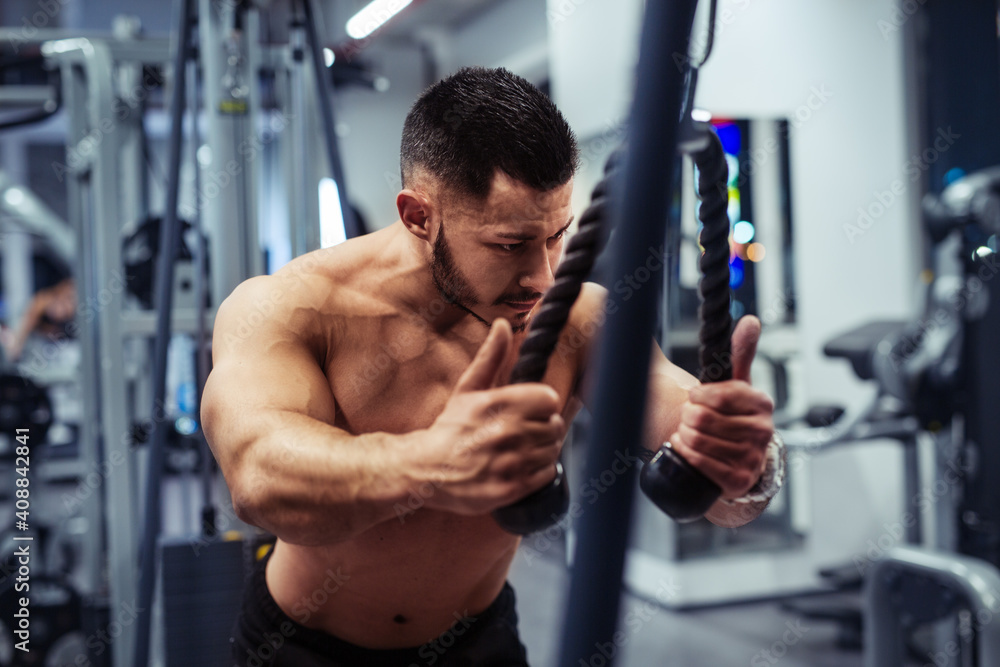 Muscular man working out in gym doing exercises at triceps Muscular man working out in gym doing exercises at triceps