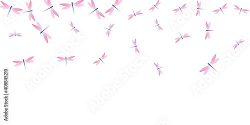 Exotic rosy pink dragonfly isolated vector background. Spring colorful insects. Simple dragonfly isolated baby illustration. Delicate wings damselflies patten. Tropical beings
