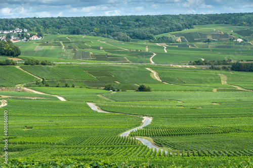 Weinberge um Épernay in der Chanpagne