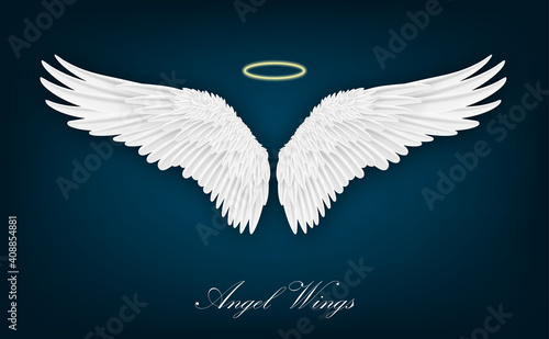 Realistic wings. Pair of white isolated angel style. Spirituality and freedom concept. Vector illustration on dark background