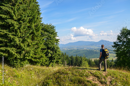 Back view  a tourist with a yellow backpack stands on a flower meadow among firs enjoying a beautiful mountain landscape on a clear summer day. Carpathians  Ukraine