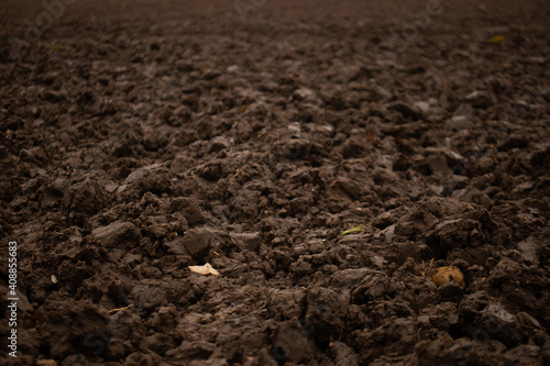 Growth earth mud brown agriculture field dark