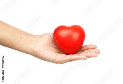 close up of Red heart in women s hands isolated on a white background. Concept of charity  health  and love