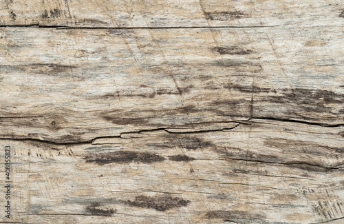 Natural old wood texture background. © KONSTANTIN