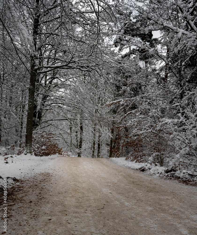An icy and snowy winter road going through a forest. Picture from Scania, southern Sweden An icy and snowy winter road going through a forest. Picture from Scania, southern Sweden