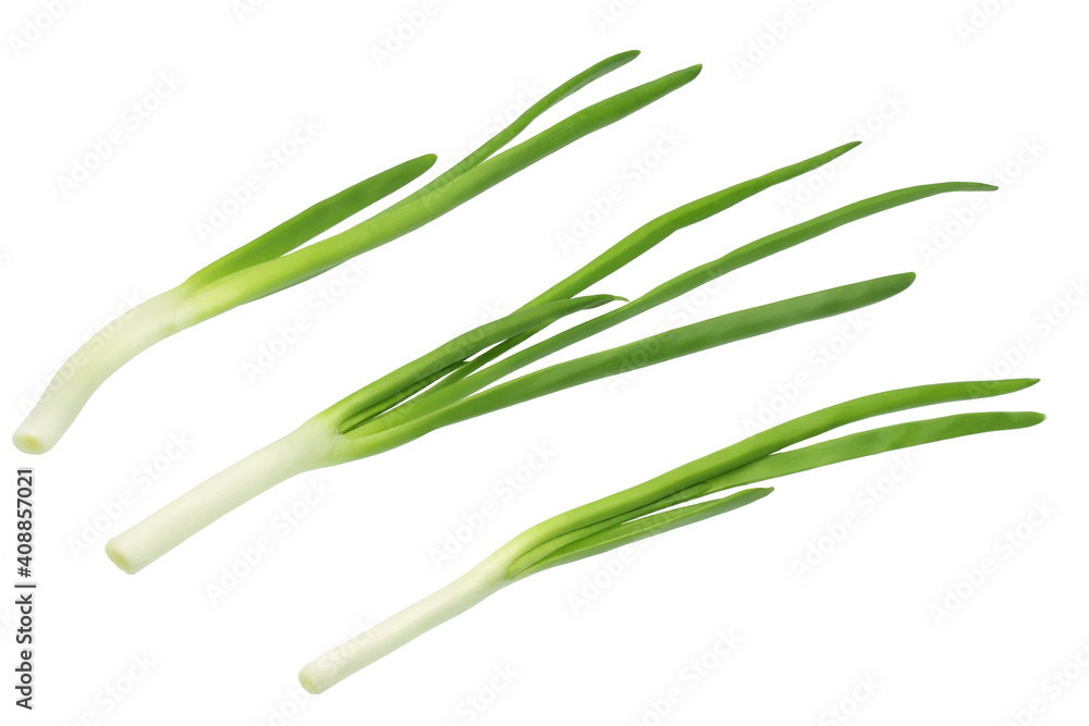 Green onion isolated on white background