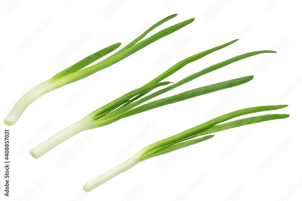 Fototapeta premium Green onion isolated on white background