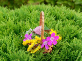 Small decorative wicker basket with flowers. A bouquet of wildflowers. Country style.