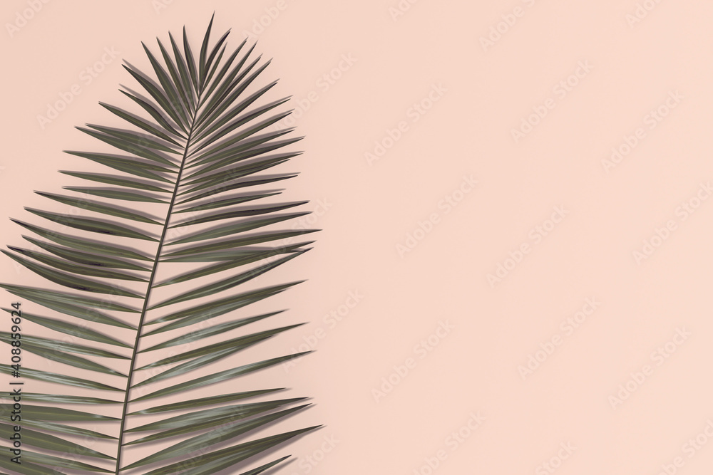 Obraz premium palm tree leaves on pink background