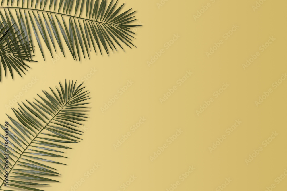Fototapeta premium palm leaves on yellow background