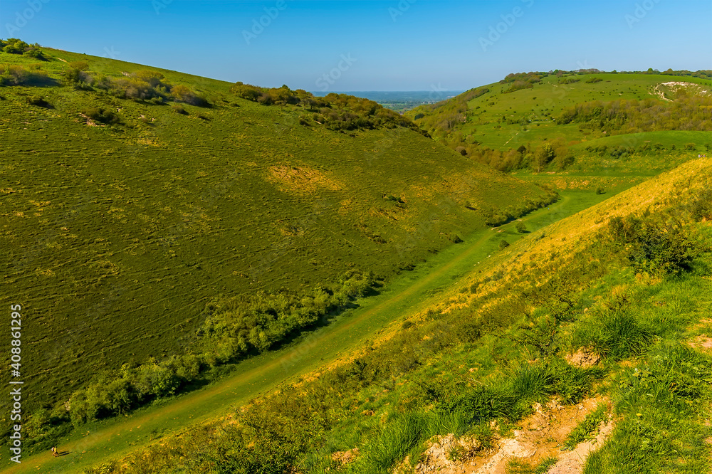 A view along the valley floor of the longest dry valley in the UK on the South Downs near Brighton in springtime