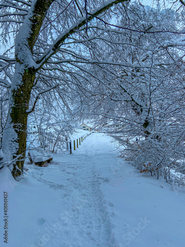 a path in winter
