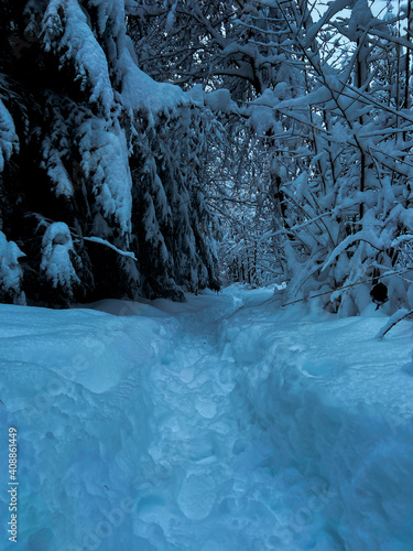 a path in winter