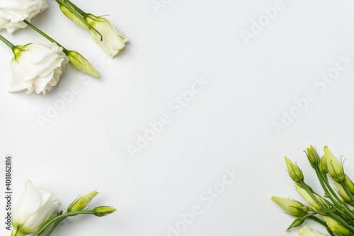 Flowers composition. Frame made of white flowers on white background. Flat lay  top view  copy space