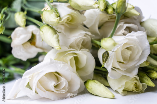 Collection set of beautiful white roses on a white background. bouquet of white roses, selective focus