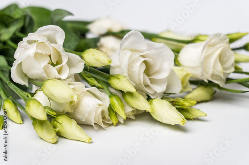 Bunch of white Eustoma flowers isolated on white background/ Selective focus