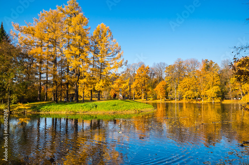 View of city park in autumn